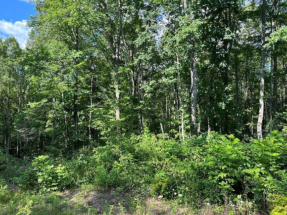 43.6 Acres of Land for Sale in Rock, West Virginia