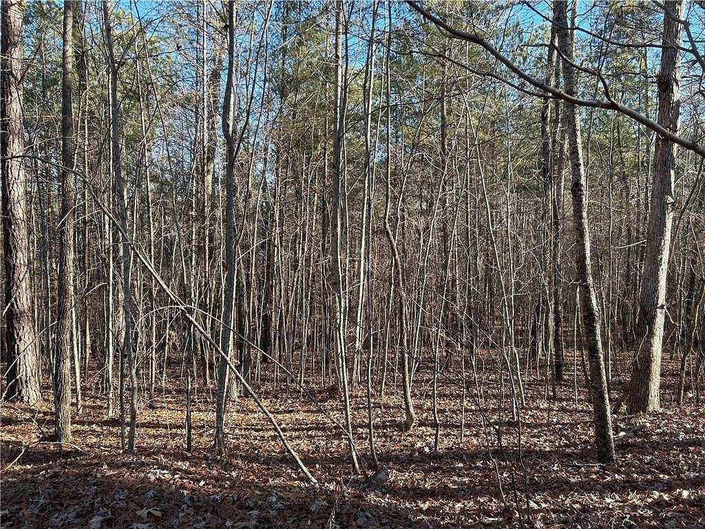 42 Acres of Land for Sale in Dawsonville, Georgia