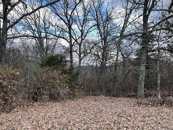 33.1 Acres of Recreational Land for Sale in Seymour, Missouri