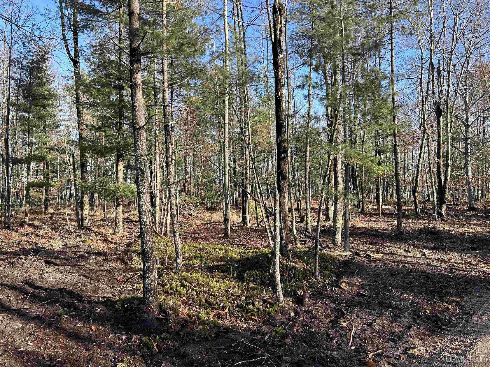9 Acres of Residential Land for Sale in Escanaba, Michigan
