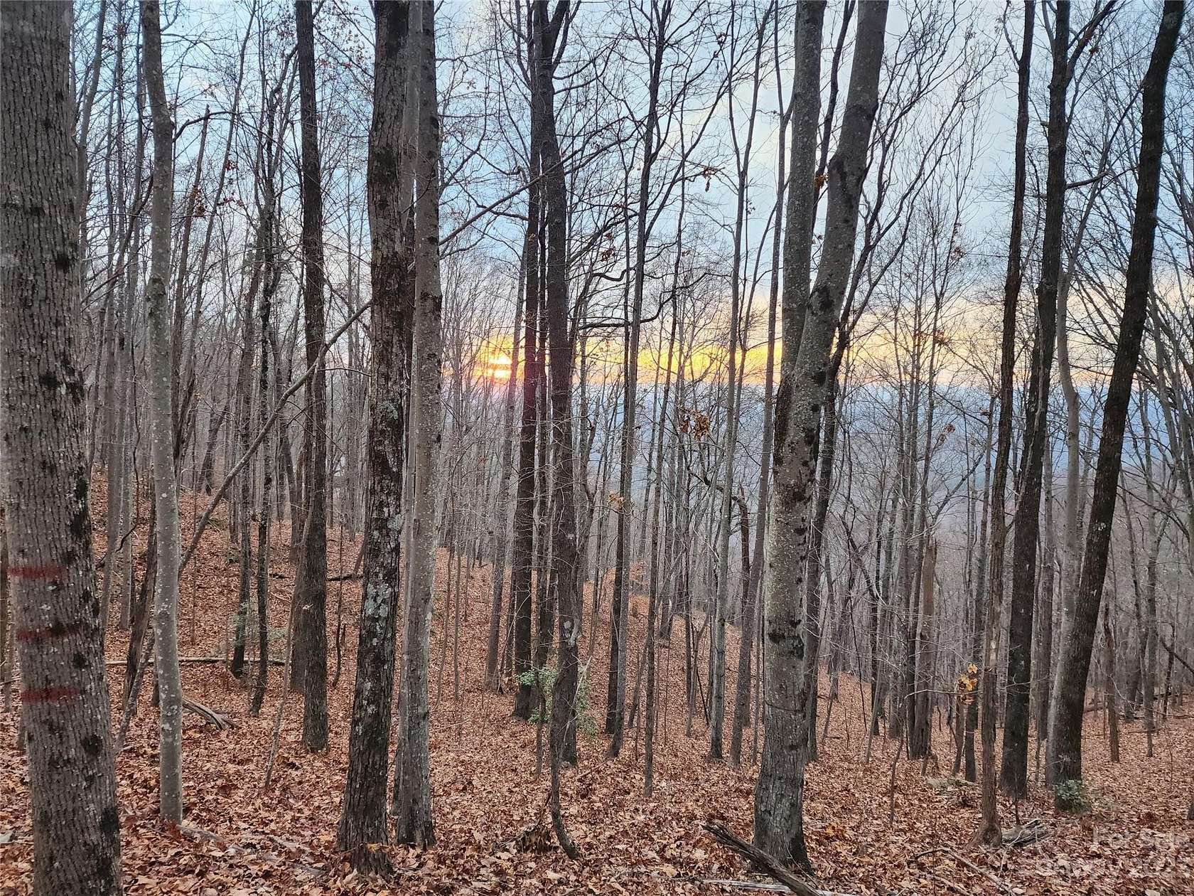 12.9 Acres of Land for Sale in Bostic, North Carolina