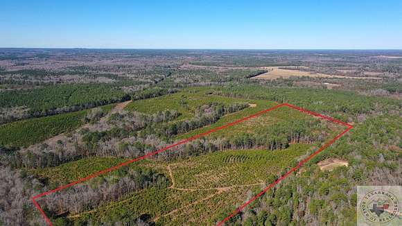 38 Acres of Recreational Land for Sale in Atlanta, Texas