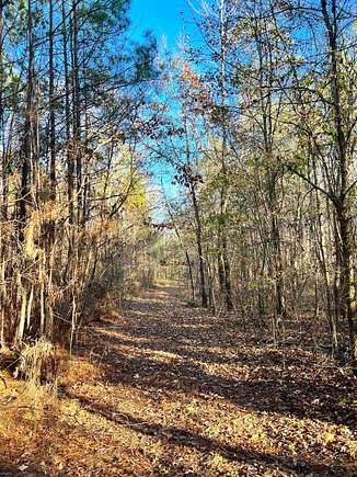 17.6 Acres of Recreational Land for Sale in Weoka, Alabama