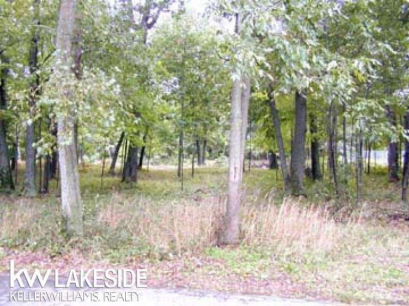 0.29 Acres of Residential Land for Sale in Caseville Township, Michigan