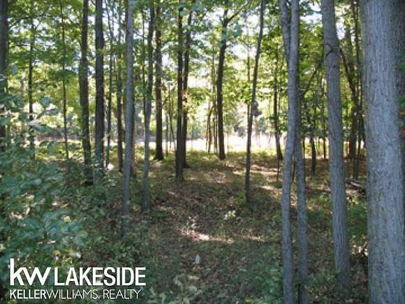 0.3 Acres of Residential Land for Sale in Caseville Township, Michigan