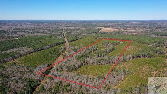 44 Acres of Recreational Land for Sale in Atlanta, Texas
