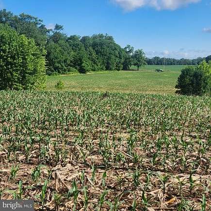 20 Acres of Land for Sale in Milton, Pennsylvania