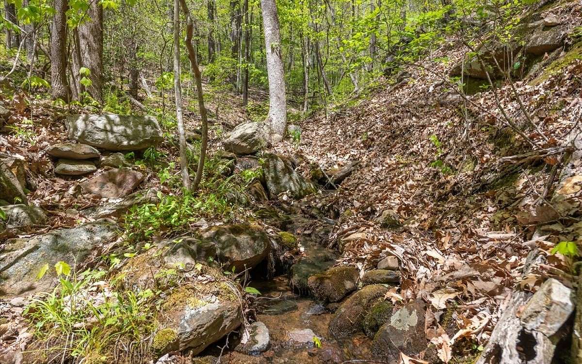39.5 Acres of Agricultural Land for Sale in Ellijay, Georgia