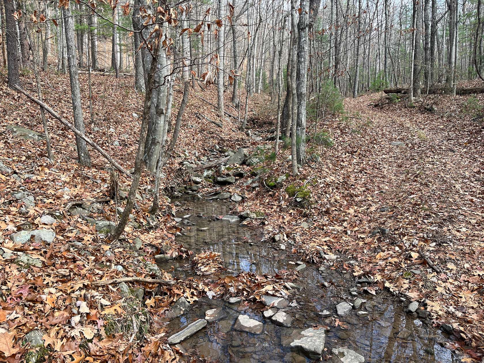 46 Acres of Recreational Land for Sale in Brandywine, West Virginia