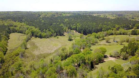 56.4 Acres of Agricultural Land for Sale in Frankston, Texas