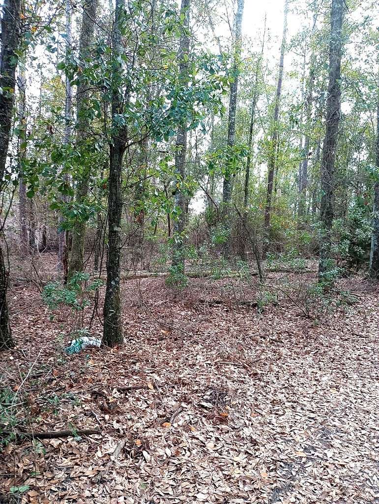 314 Acres of Recreational Land for Sale in Gordon, Alabama