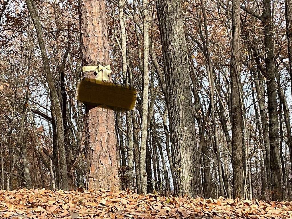 13.4 Acres of Land for Sale in Sevierville, Tennessee