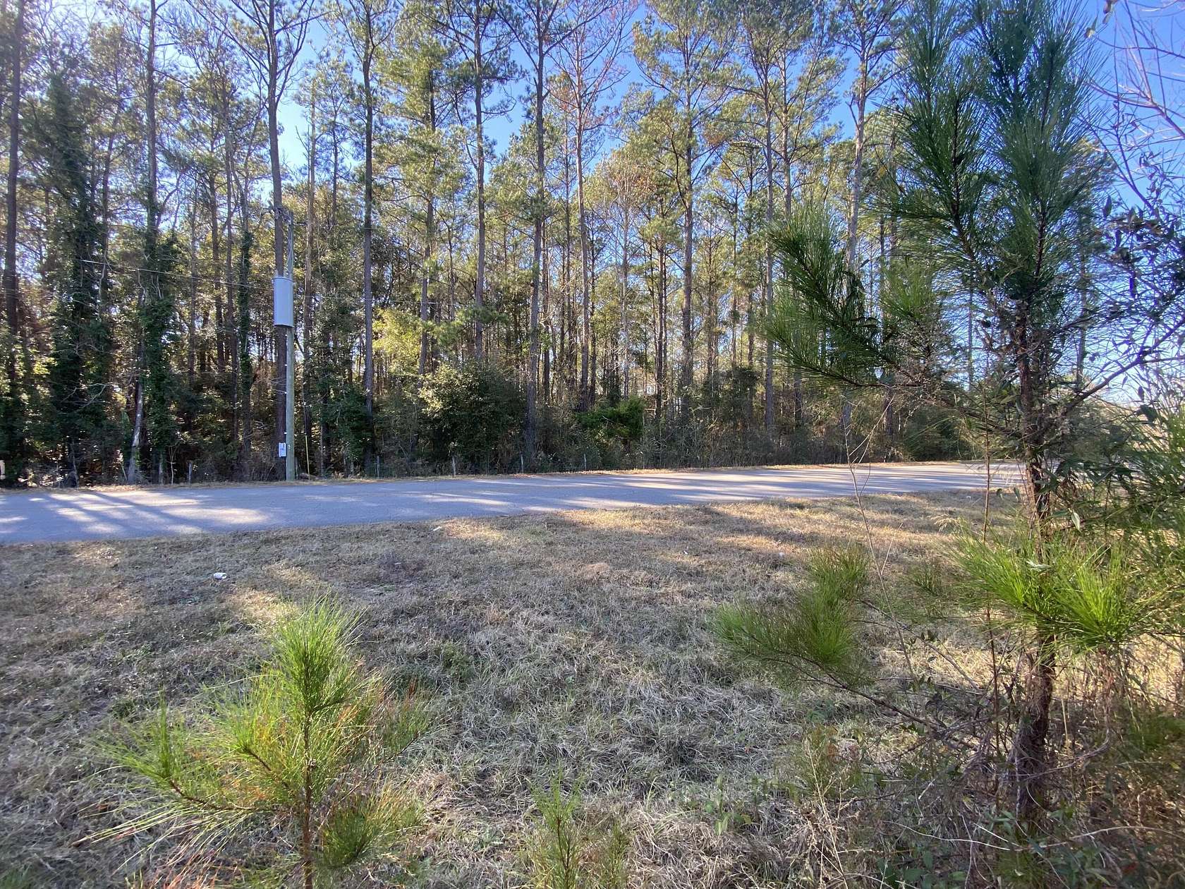 6.2 Acres of Residential Land for Sale in Laurel Hill, Florida