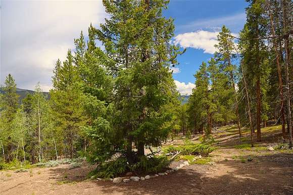 7 Acres of Residential Land for Sale in Twin Lakes, Colorado