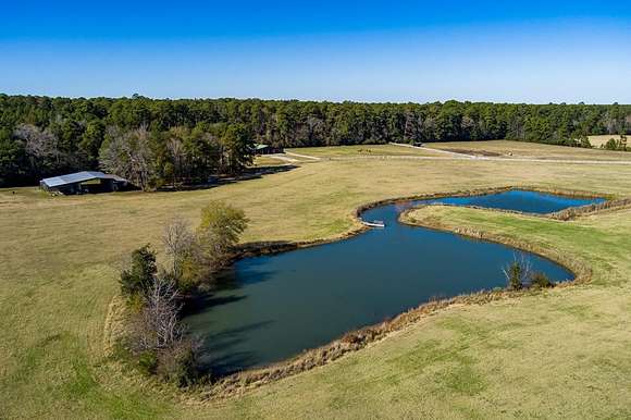 187 Acres of Agricultural Land with Home for Sale in Groveton, Texas