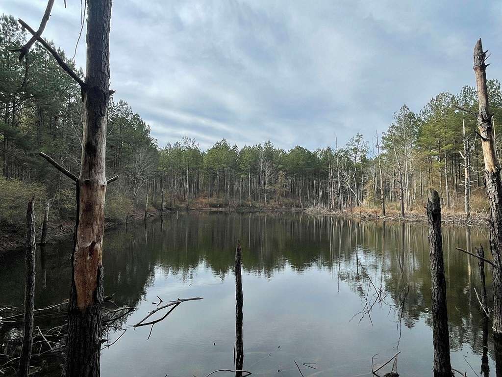472 Acres of Land for Sale in Waynesboro, Mississippi