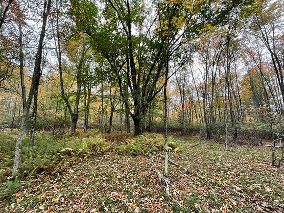 11.8 Acres of Recreational Land for Sale in Bethel, New York