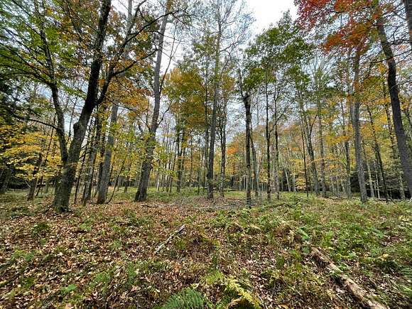 32.7 Acres of Recreational Land for Sale in Bethel, New York