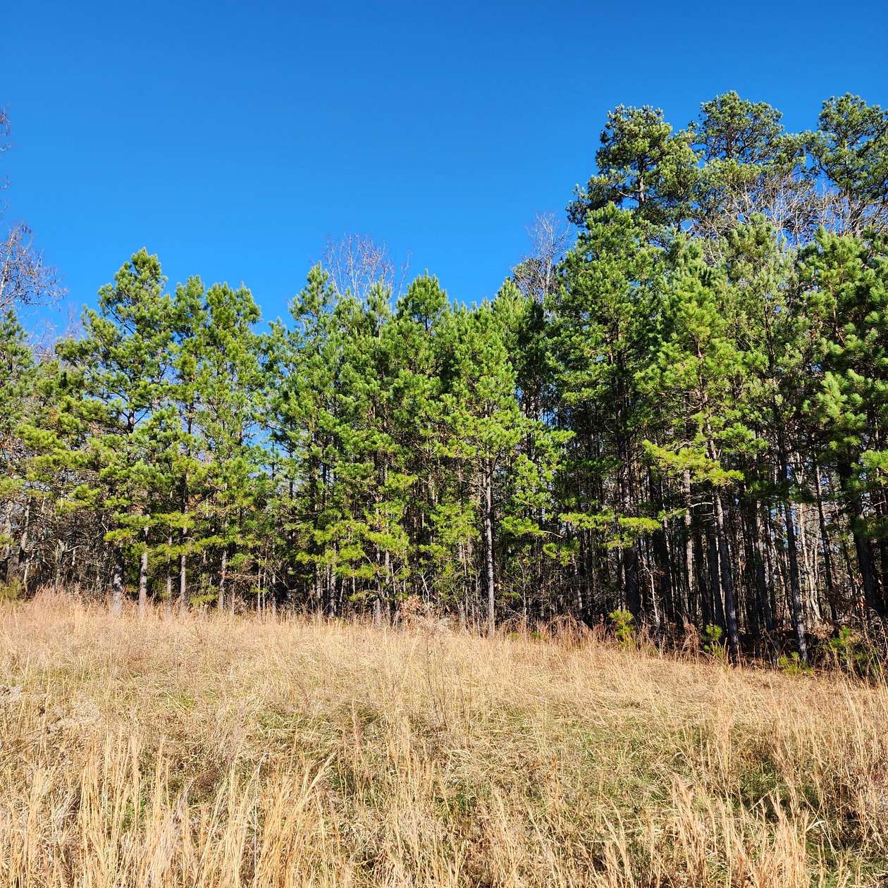 18.7 Acres of Land for Sale in Hasty, Arkansas LandSearch