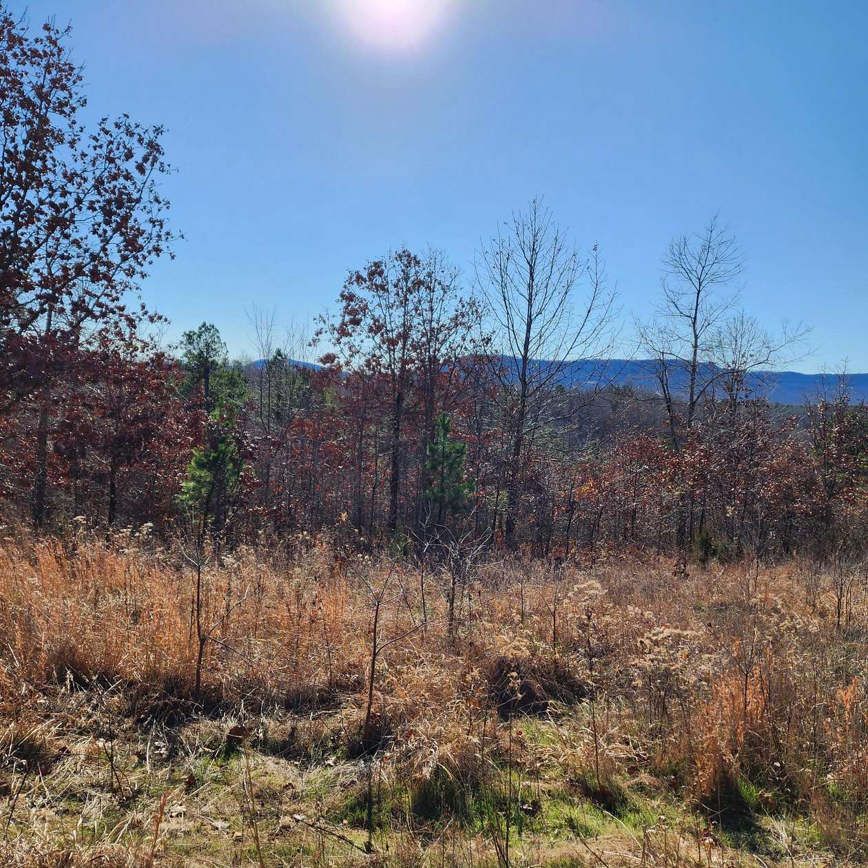 18.7 Acres of Land for Sale in Hasty, Arkansas