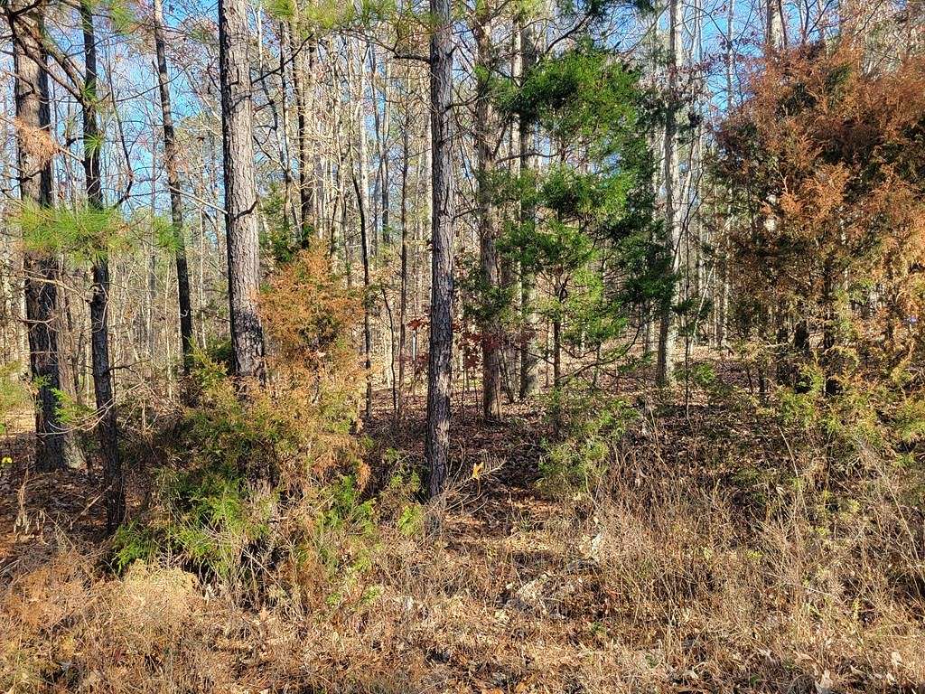 0.24 Acres of Residential Land for Sale in Big Sandy, Tennessee