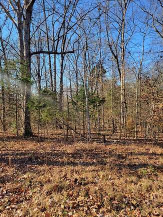 0.27 Acres of Residential Land for Sale in Big Sandy, Tennessee