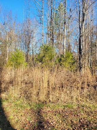 0.26 Acres of Residential Land for Sale in Big Sandy, Tennessee
