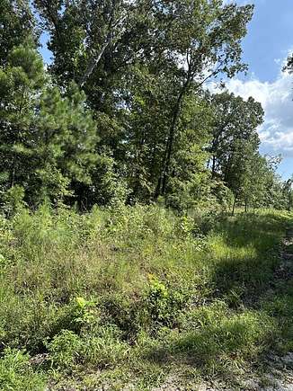 0.17 Acres of Residential Land for Sale in Buchanan, Tennessee
