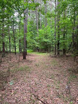 43 Acres of Recreational Land for Sale in Palmersville, Tennessee