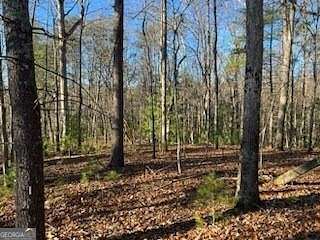 0.74 Acres of Land for Sale in Ellijay, Georgia