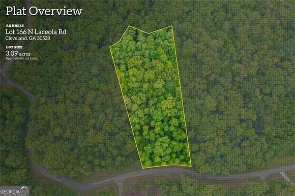 3.1 Acres of Residential Land for Sale in Cleveland, Georgia