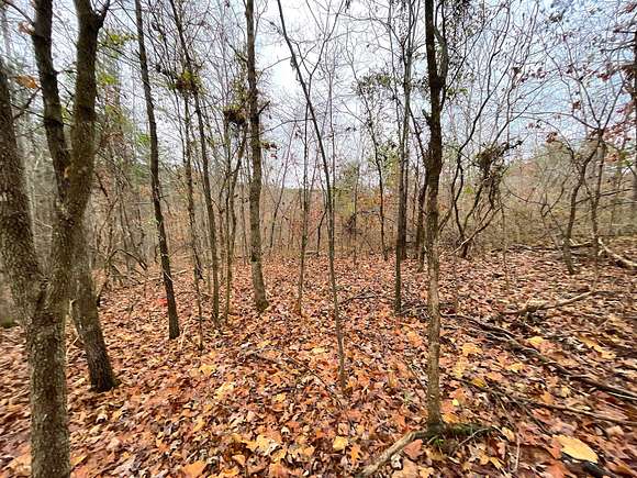 4 Acres of Recreational Land for Sale in Bidwell, Ohio