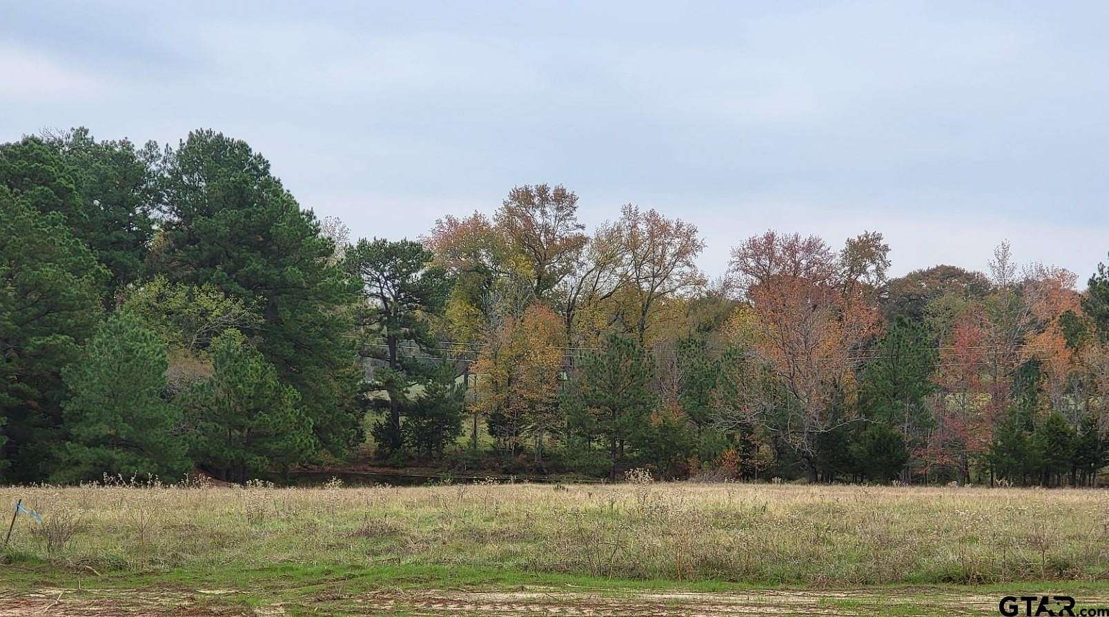 7.3 Acres of Residential Land for Sale in Winona, Texas
