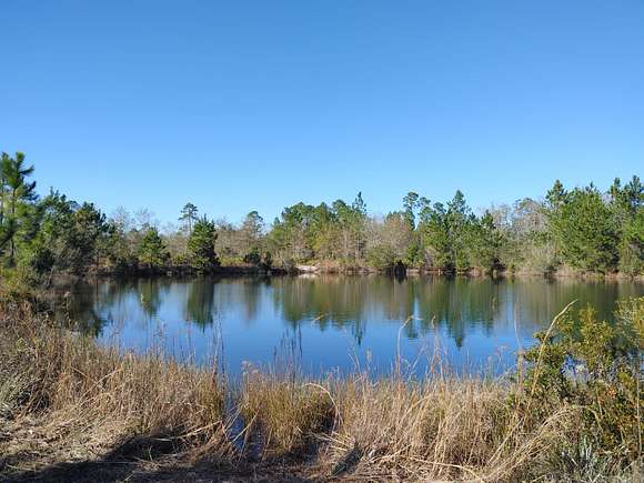 10 Acres of Recreational Land for Sale in Waverly, Georgia