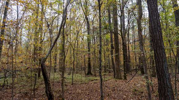 6.35 Acres of Recreational Land for Sale in Equality, Alabama - LandSearch