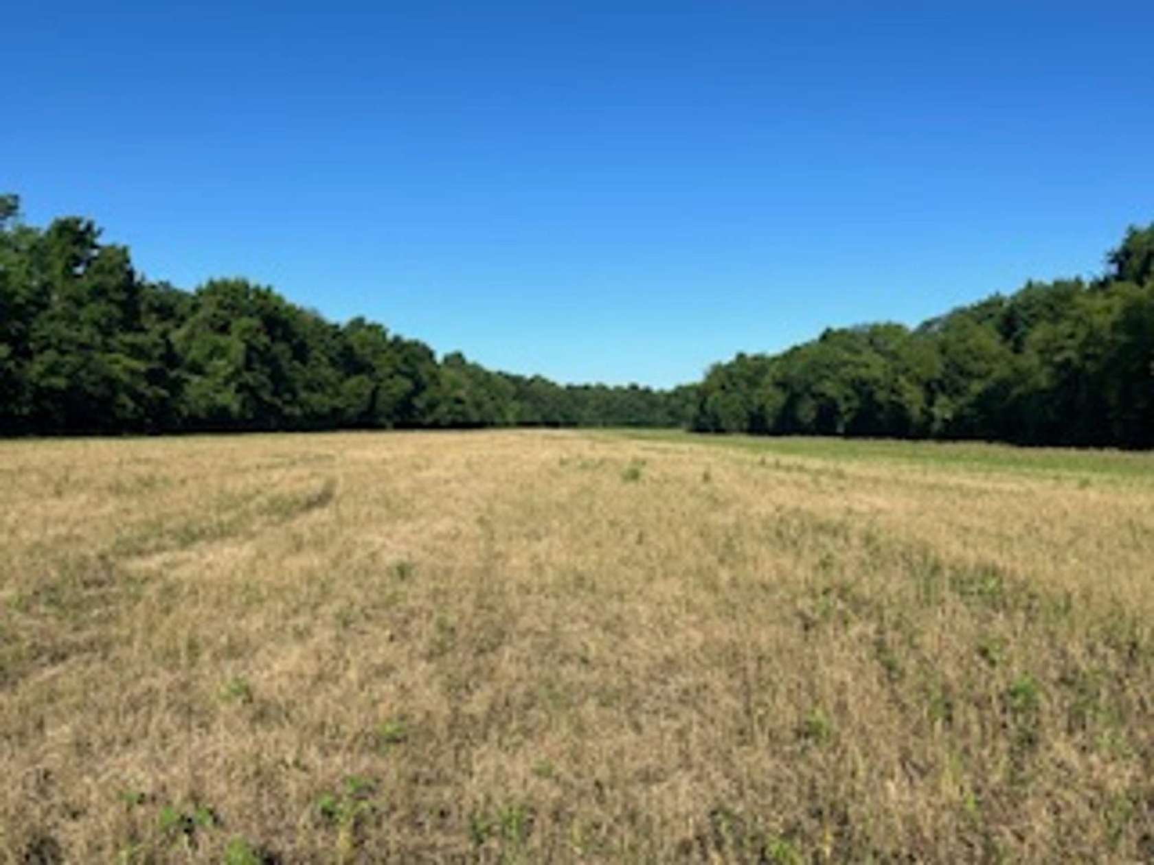 80 Acres of Recreational Land & Farm for Sale in Rockport, Indiana