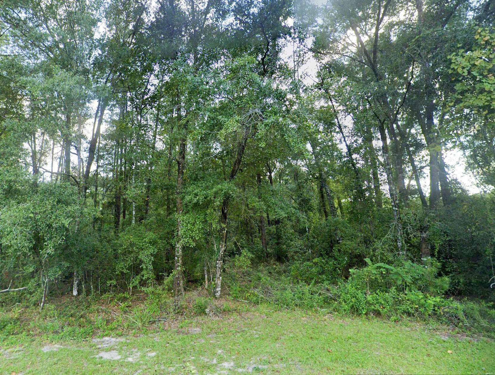 1 Acre of Residential Land for Sale in Jesup, LandSearch