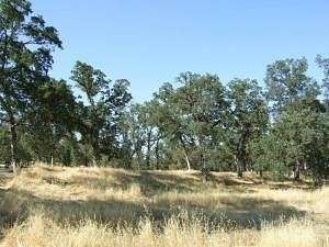 5.16 Acres of Land for Sale in Millville, California