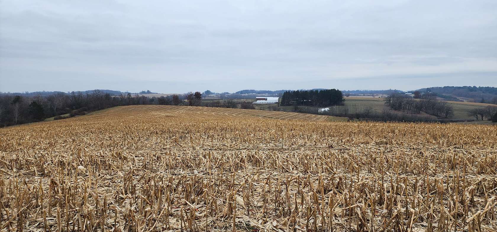 22 Acres of Recreational Land & Farm for Sale in Viroqua, Wisconsin