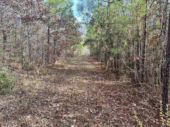 40 Acres of Recreational Land & Farm for Sale in Rosefield, Louisiana