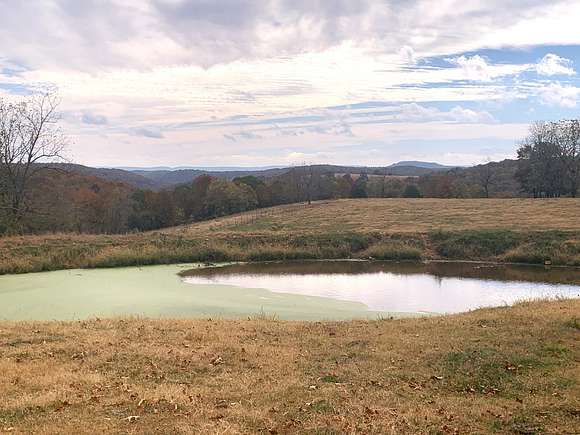 118 Acres of Recreational Land & Farm for Sale in St. Joe, Arkansas