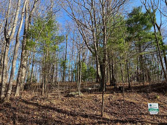 0.66 Acres of Residential Land for Sale in Copper Hill, Virginia