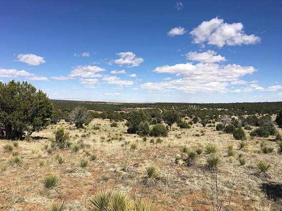 33.5 Acres of Land for Sale in Torreon, New Mexico