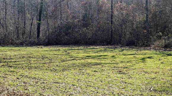 80 Acres of Recreational Land for Sale in Benton, Arkansas