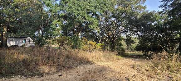 0.29 Acres of Residential Land for Sale in Umatilla, Florida