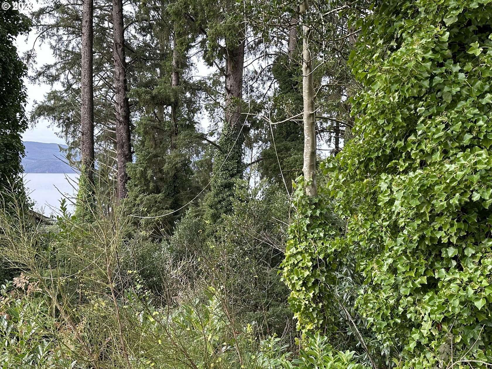 0.11 Acres of Land for Sale in Bay City, Oregon