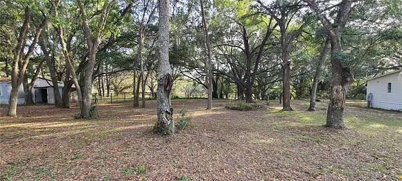 0.32 Acres of Residential Land for Sale in Umatilla, Florida