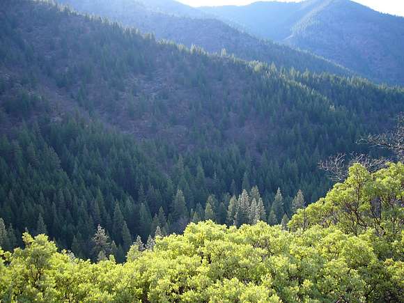 142 Acres of Recreational Land for Sale in Yreka, California