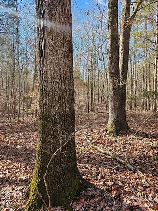 25 Acres of Recreational Land for Sale in Concord, North Carolina