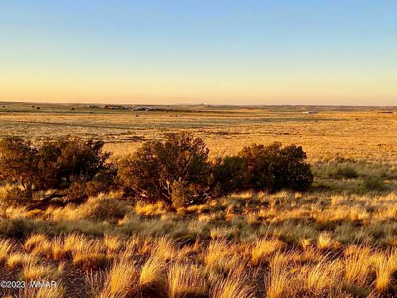 39 Acres of Land for Sale in Snowflake, Arizona